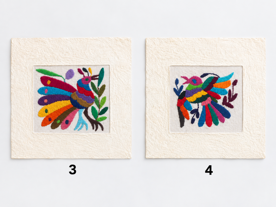 Otomí Amate Embroidered Assorted Art Textile Wall Decor Unframed - Mexico