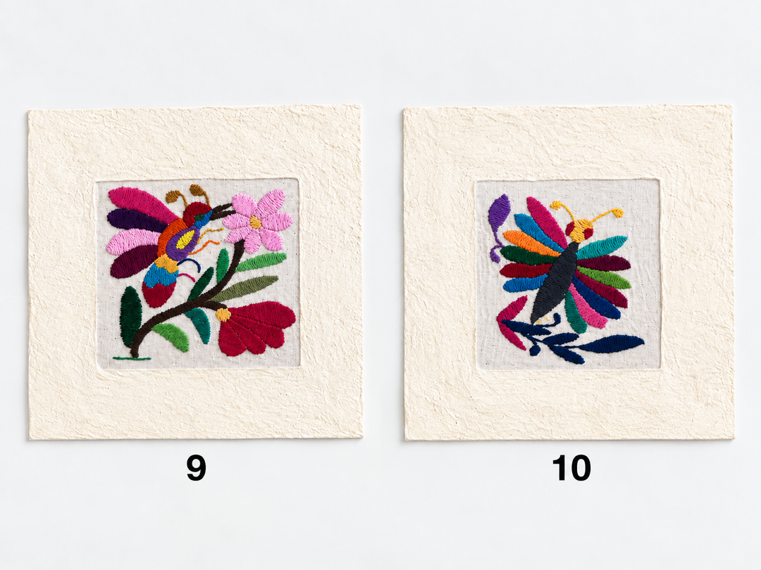 Otomí Amate Embroidered Assorted Art Textile Wall Decor Unframed - Mexico