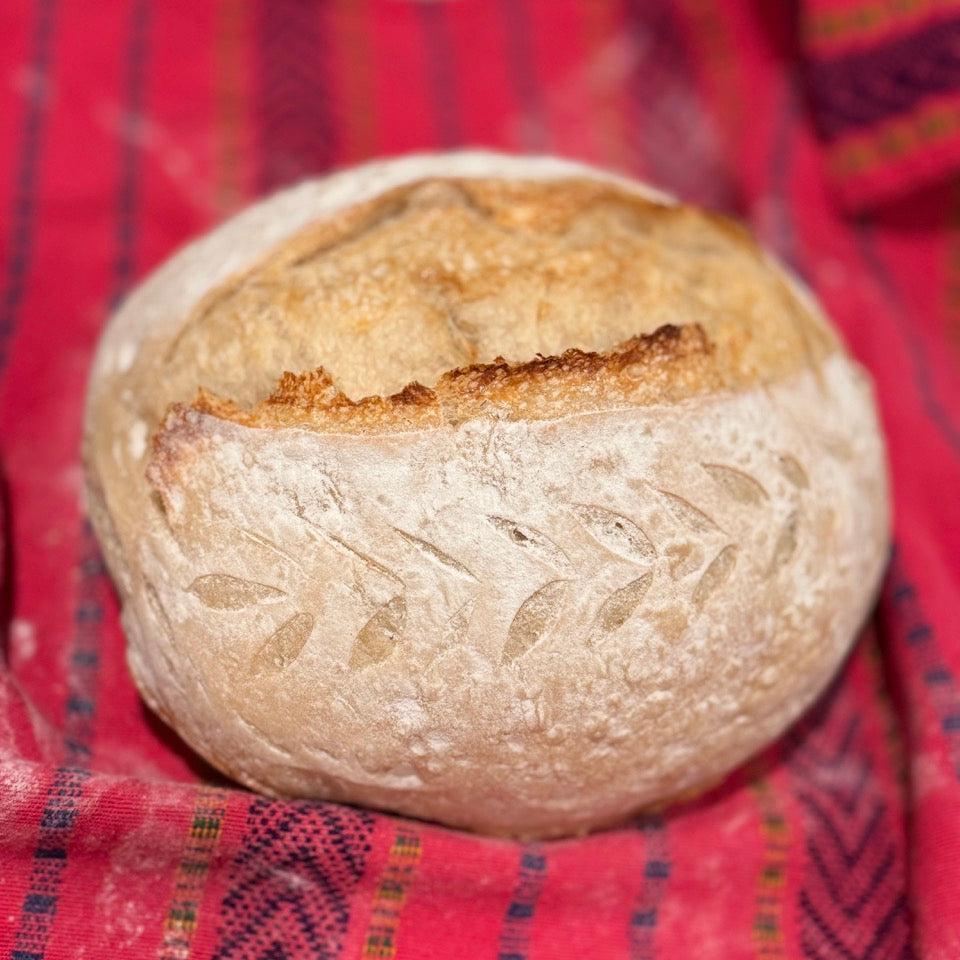 100-Year-Old Sourdough Starter “Jo” | Viral Dehydrated Starter | All Profits Donated to The Bread Project-Lumily-Lumily MZ Fair Trade Nena & Co Hiptipico Novica Lucia's World emporium