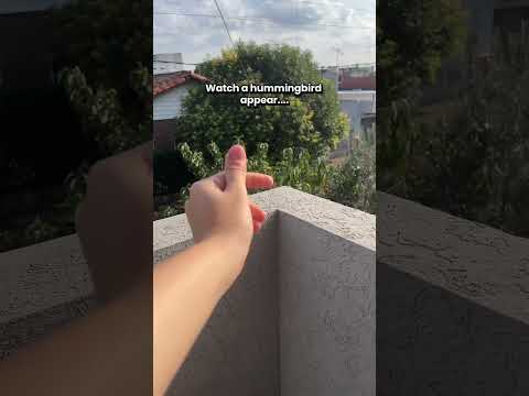 Large Hummingbird Seed Bead Handmade Ornament - Guatemala