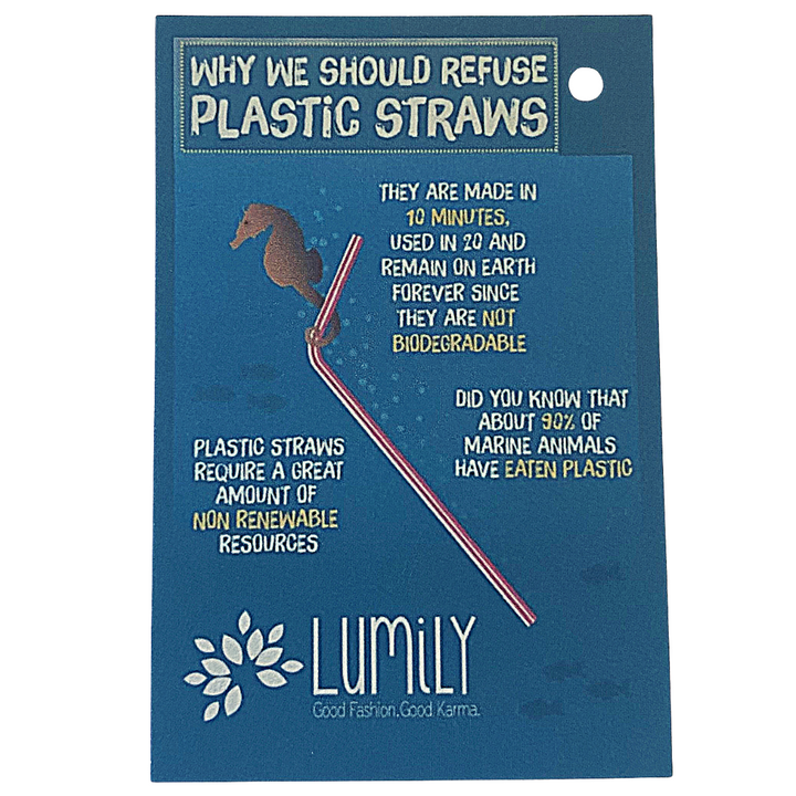 Stainless Steel Reusable Straw-Bags-Lumily-Lumily MZ Fair Trade Nena & Co Hiptipico Novica Lucia's World emporium